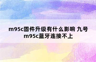 m95c固件升级有什么影响 九号m95c蓝牙连接不上